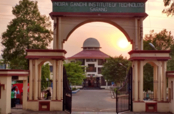 Indira Gandhi Institute of Technology (IGIT)